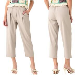 Brochu Walker Fiera Gray Cropped Straight Leg Pull-On Pleated Twill Pants Size L